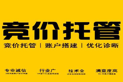 360信息流广告投放技巧与成功案例解析